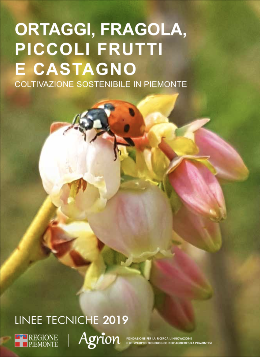 Ortaggi, Fragola, Piccoli Frutti e Castagno – coltivazione sostenibile – linee tecniche 2019