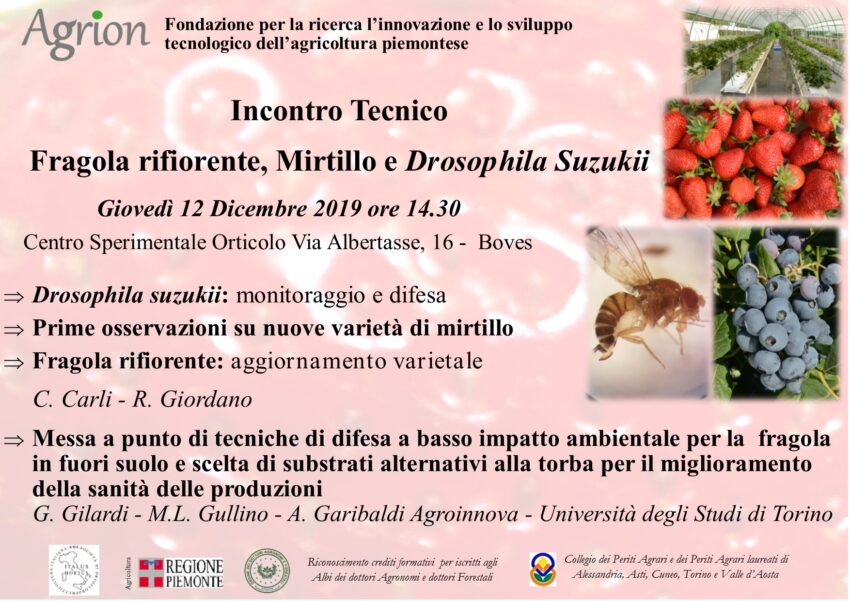 12/12/2019 – Incontro Tecnico Fragola rifiorente, Mirtillo e Drosophila Suzukii (Boves CN ore 14.30)