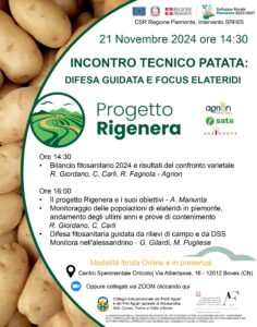 21/11/2024 - Incontro tecnico patata: Difesa guidata e focus elateridi @ Fondazione Agrion - Centro Sperimentale Orticolo